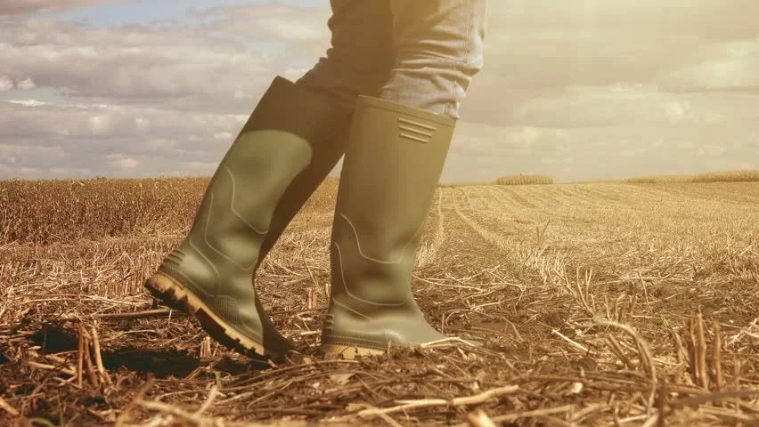 7 Langkah Menjaga Kesehatan Kaki bagi Pekerja Lapangan